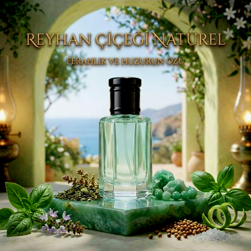 Reyhan Çiçeği Natürel