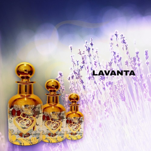 Lavanta Çiçeği Kokusu Lavanta Çiçeği Kokusu